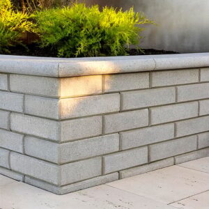 Raffinato Polished Commercial Walls