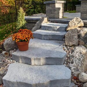 Maya Steps
